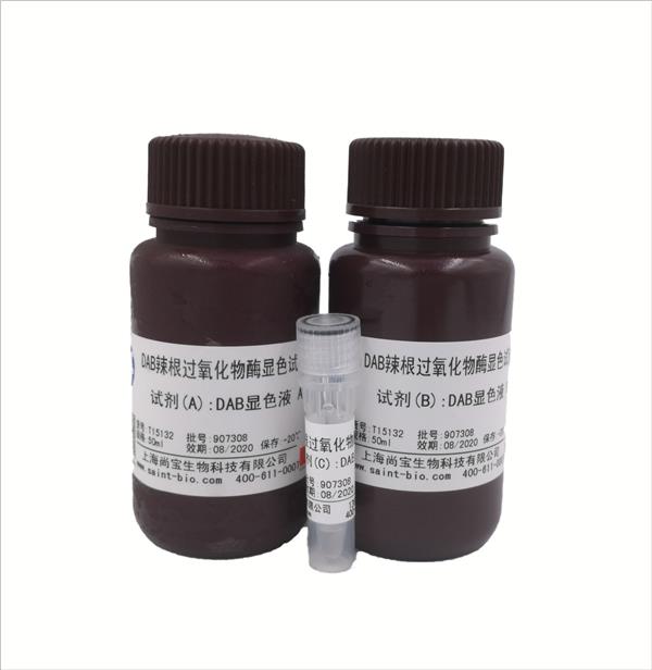 DAB辣根過(guò)氧化物酶顯色試劑盒